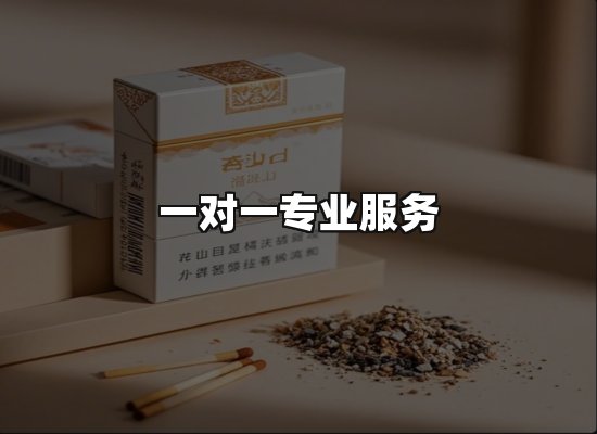 专业优势
